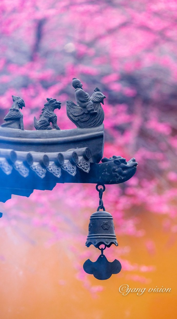 铁佛寺,古刹红梅花__财经头条