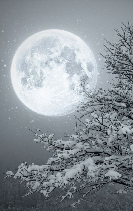 恋别人是需要付出代价的,恋自己不需要,我想怎么爱我自己