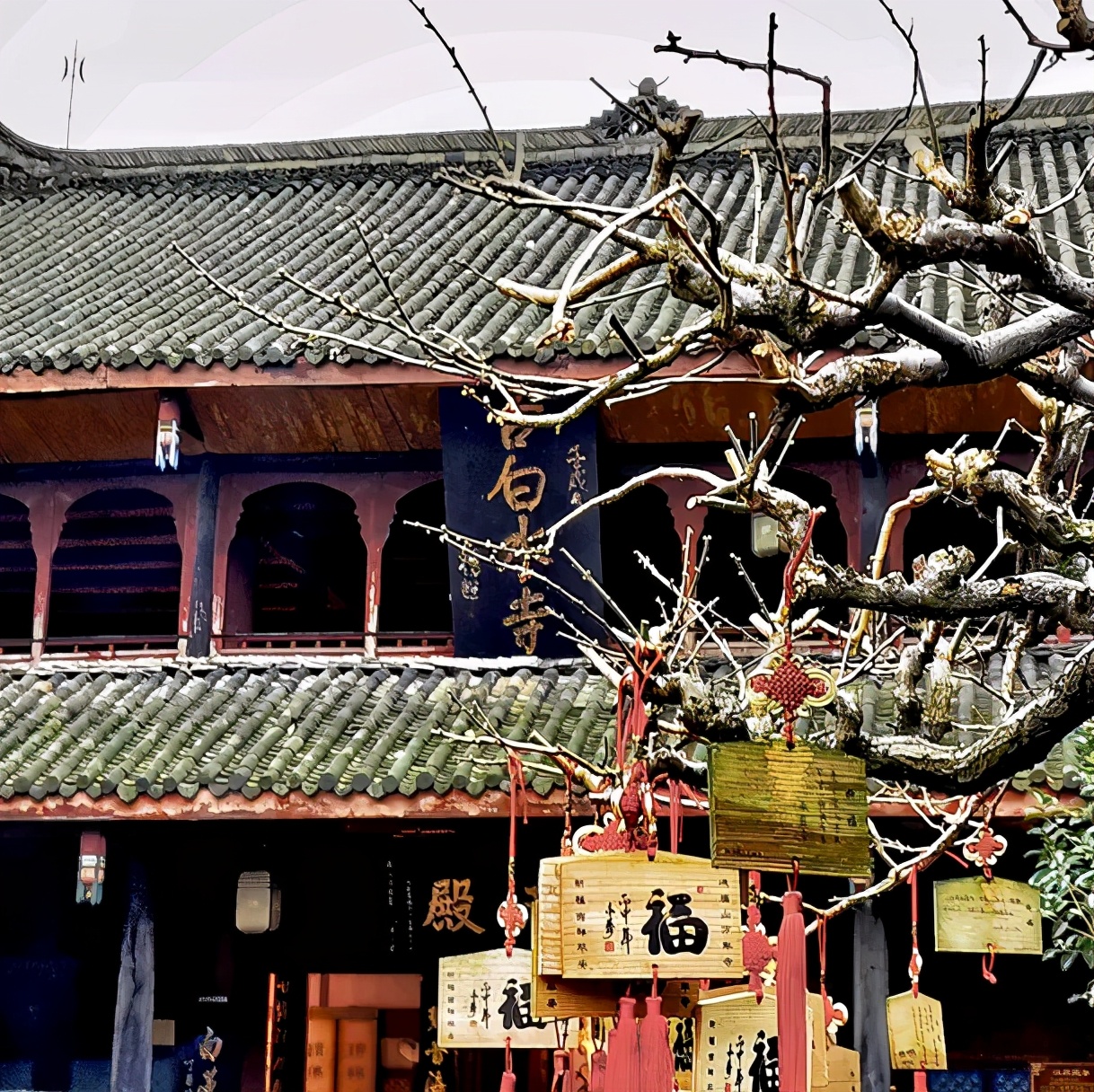 让徒步变成一种快乐,4条峨眉山徒步线路入门指南|峨眉山|万年寺