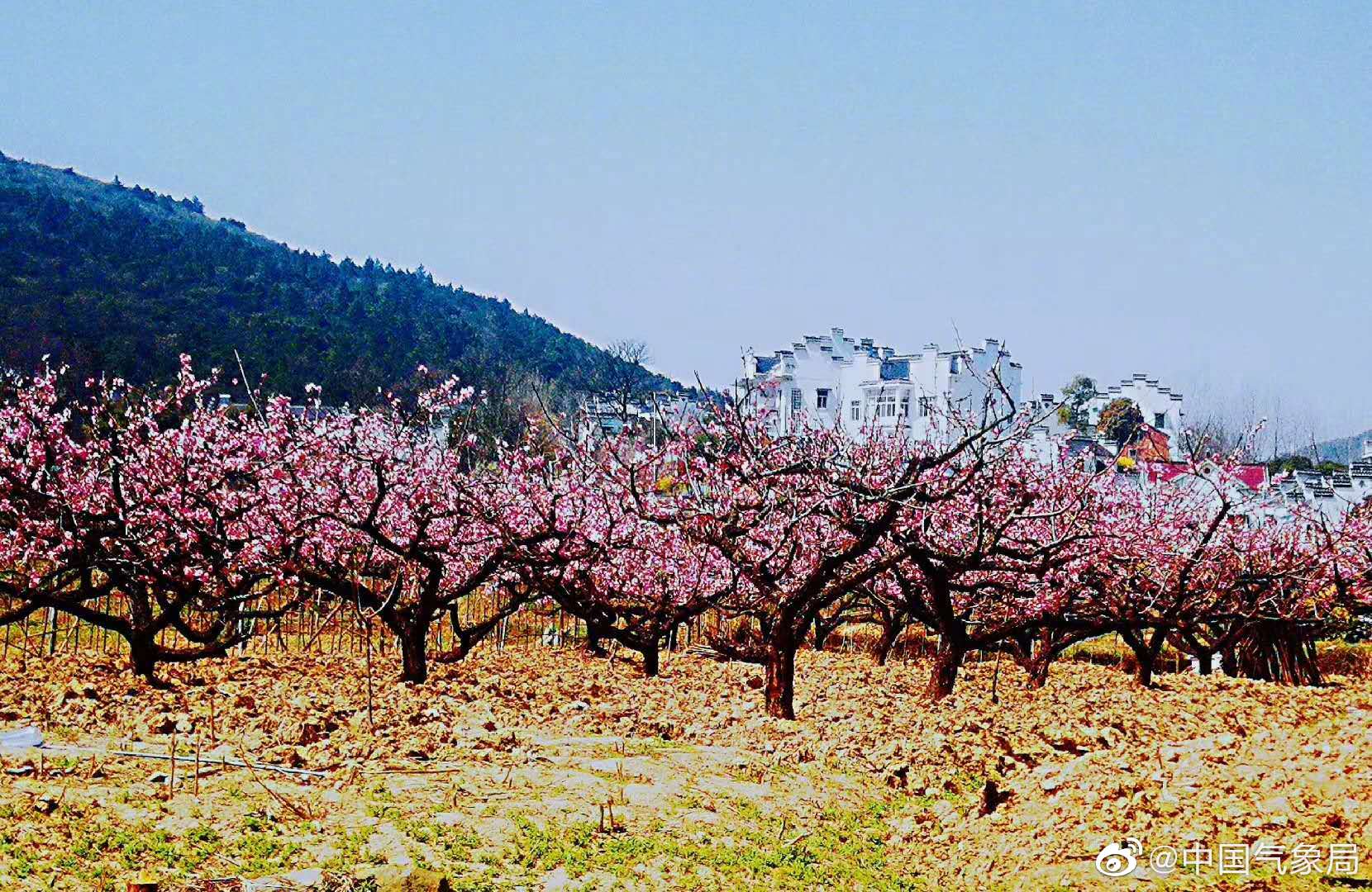 带你看安徽当涂大青山.(图/文:章利明 刘琪)