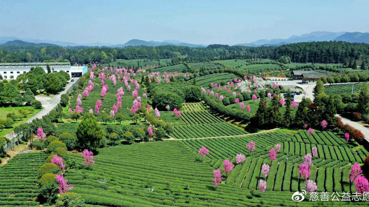 凤冈哪里好玩旅游景区 凤冈最出名的景点有哪些