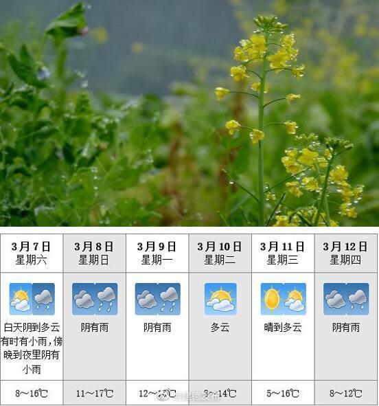 建德天气