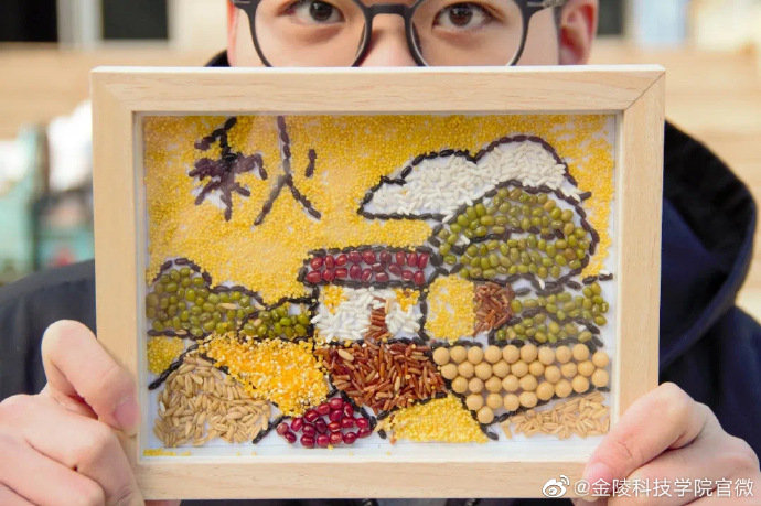 的同学们用大米,小米,燕麦,红豆等常见谷物,做成了一幅幅生动的种子画