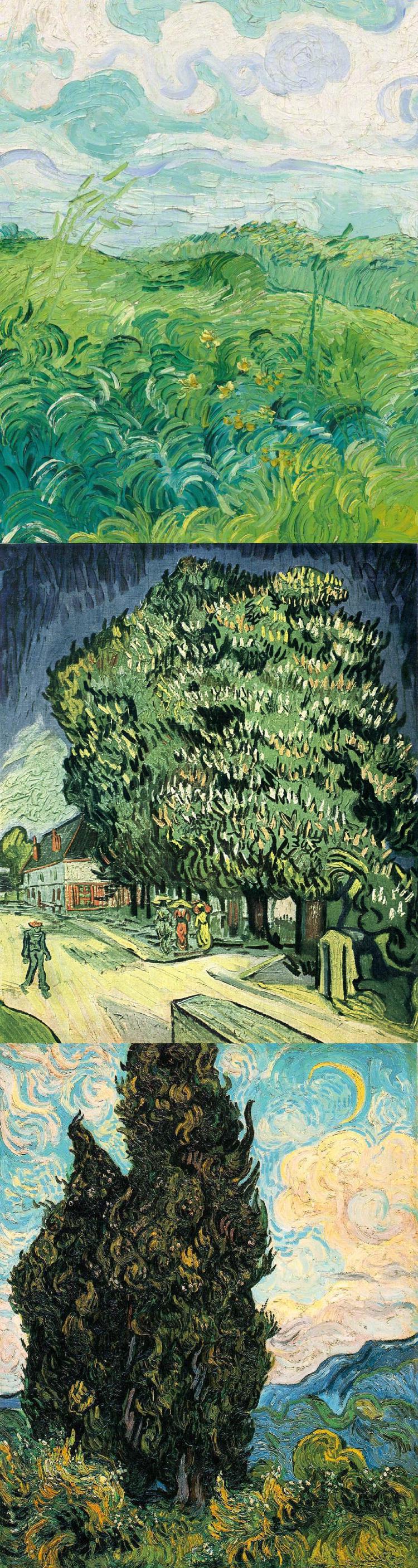 梵高的花园__财经头条