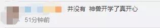 “神兽”归笼！今日的校园围墙上长满了家长休闲区蓝鸢梦想 - Www.slyday.coM