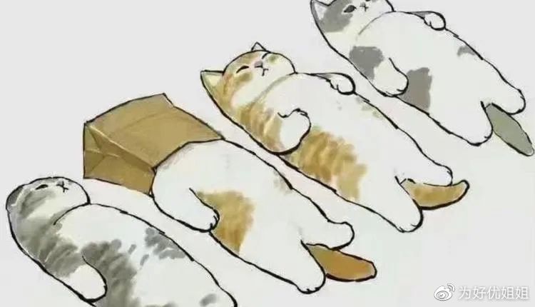 这届年轻人的内卷和躺平，是叛逆还是被规训了?休闲区蓝鸢梦想 - Www.slyday.coM