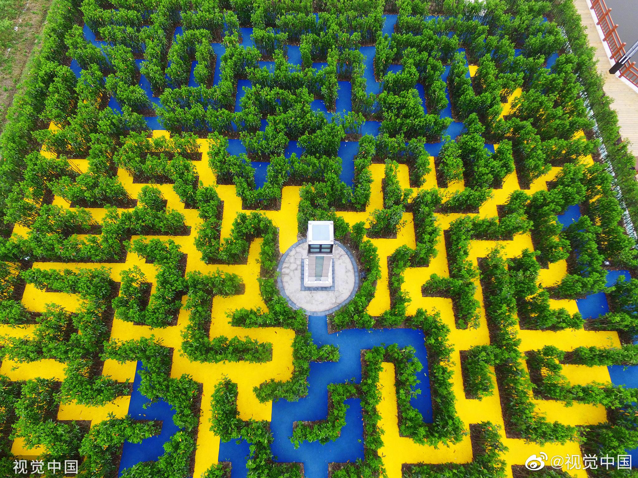 路痴慎入! 这些绿植组成的迷宫,想要"脱身"实属不易_高清图集_新浪网