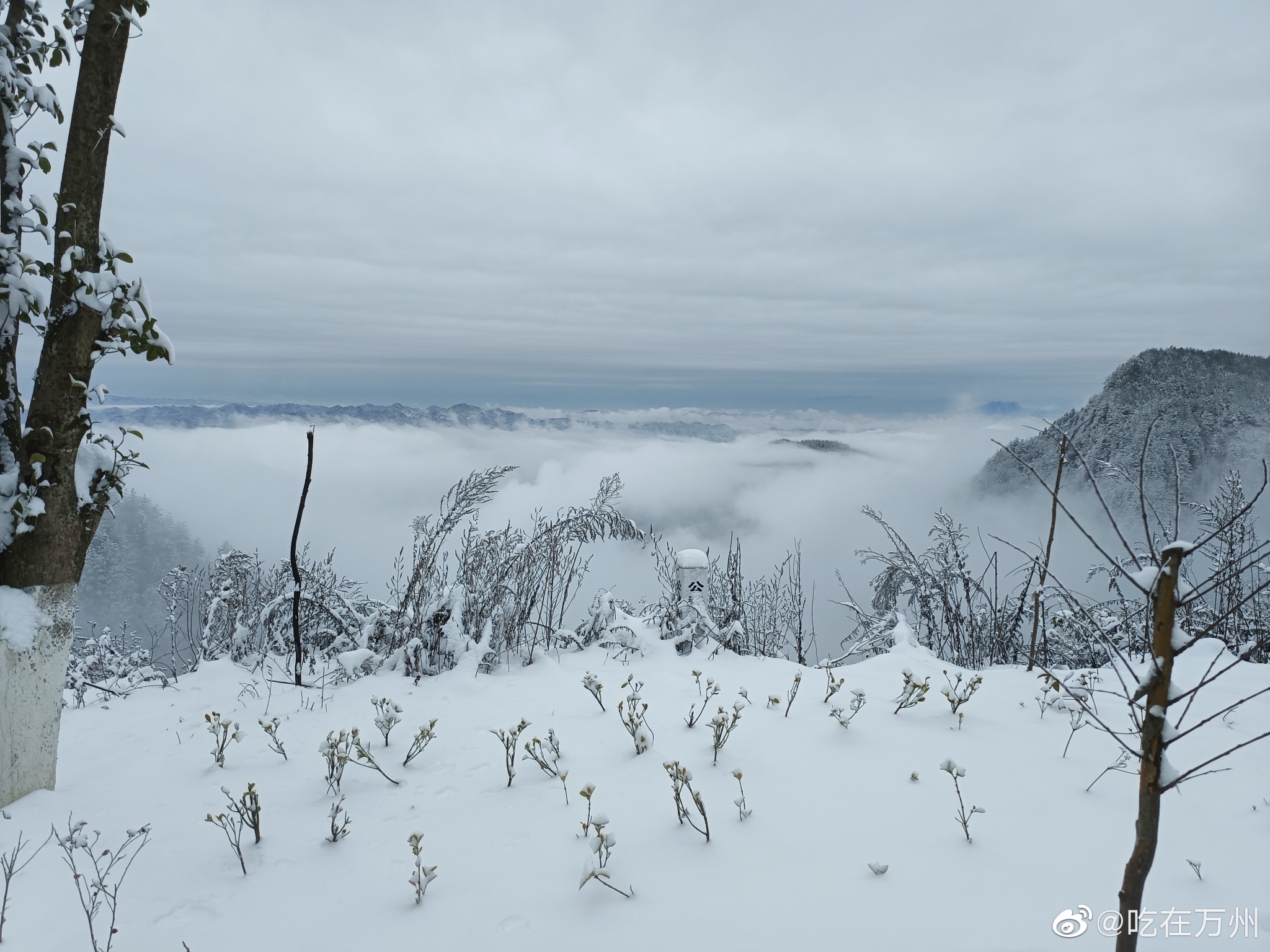 万州高山地带昨晚下雪,白土镇白雪皑皑,一派北国冰雪美景……