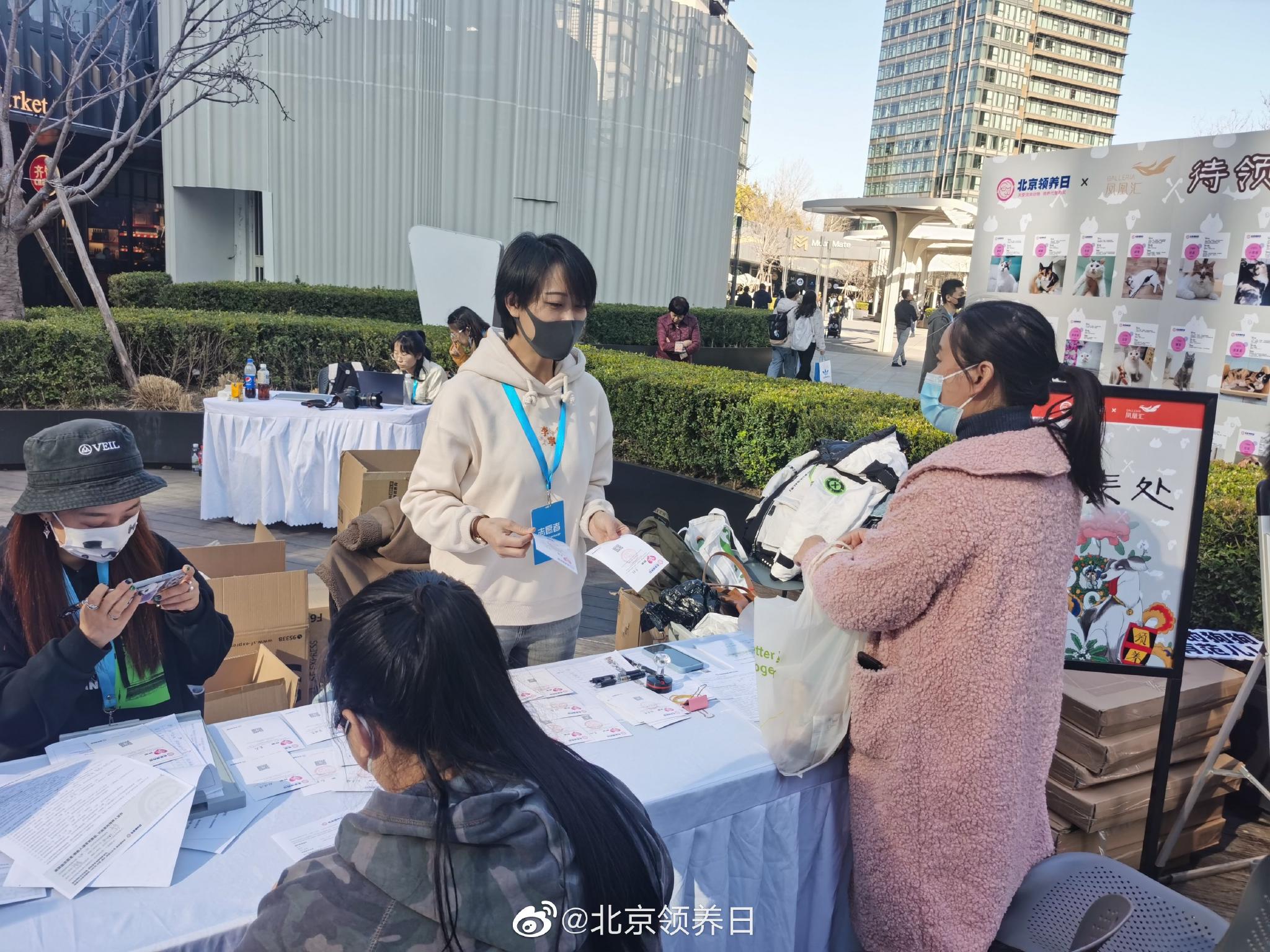 线下领养活动正在进行时……