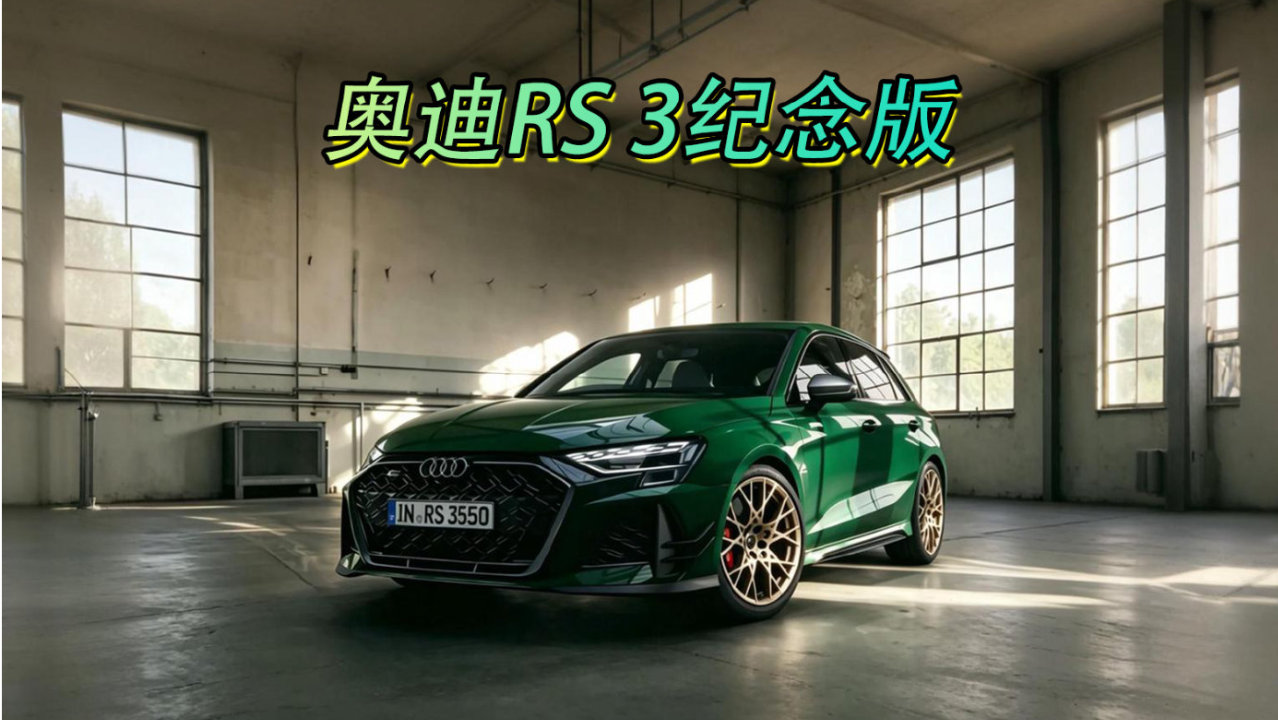 奥迪RS 3纪念版