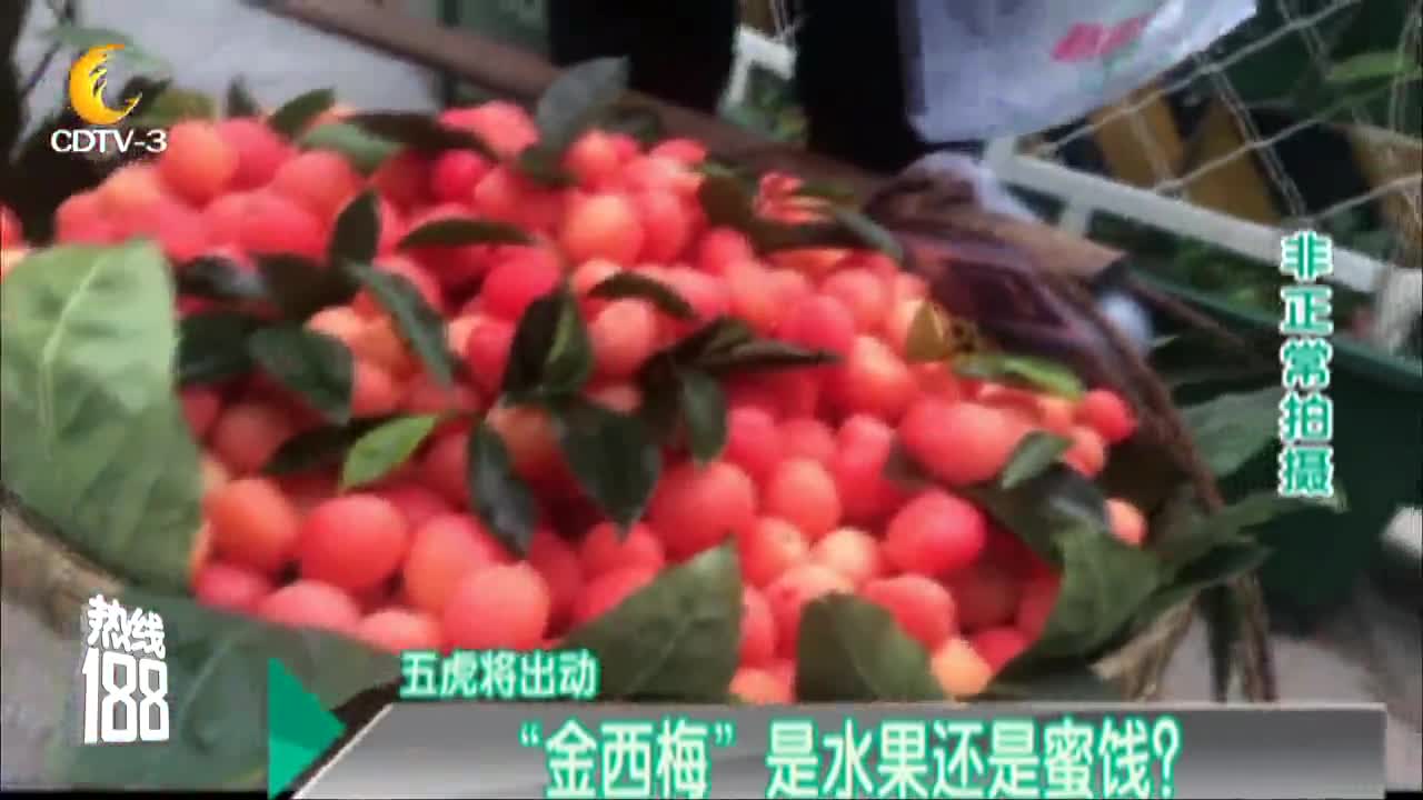 网红水果 金西梅 再次上市 农科专家 不是水果 是加了糖做的蜜饯 网红水果 金西梅 再次上市 农科专家 不是水果 是加了糖做的蜜饯