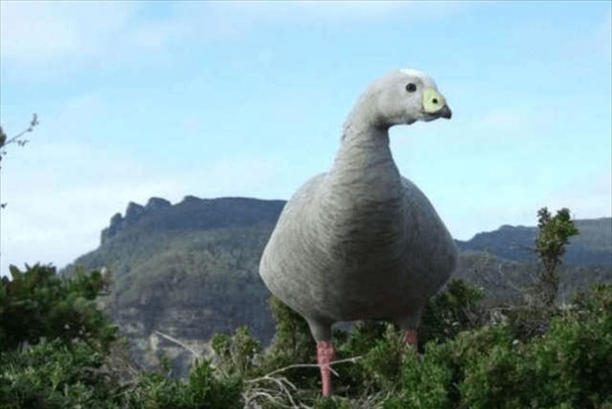 34张不可思议的照片,居然没有一张PS过休闲区蓝鸢梦想 - Www.slyday.coM 34张不可思议的照片,居然没有一张PS过休闲区蓝鸢梦想 - Www.slyday.coM