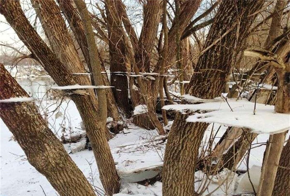 34张不可思议的照片,居然没有一张PS过休闲区蓝鸢梦想 - Www.slyday.coM 34张不可思议的照片,居然没有一张PS过休闲区蓝鸢梦想 - Www.slyday.coM