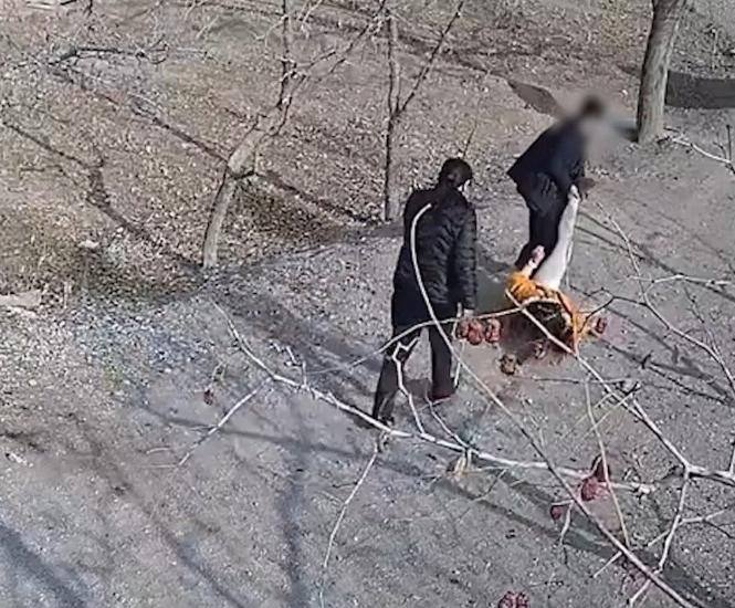 恐怖！因50万彩礼女朋友被家人强行带走，男方追上去也被殴打？休闲区蓝鸢梦想 - Www.slyday.coM