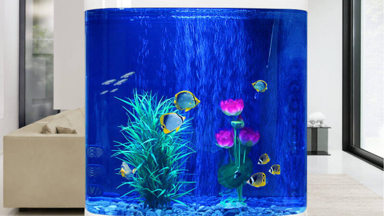 堪称水族界“艺术品”,大型亚克力鱼缸如何兼具观赏与实用价值?|亚克力|鱼缸|水族_新浪新闻