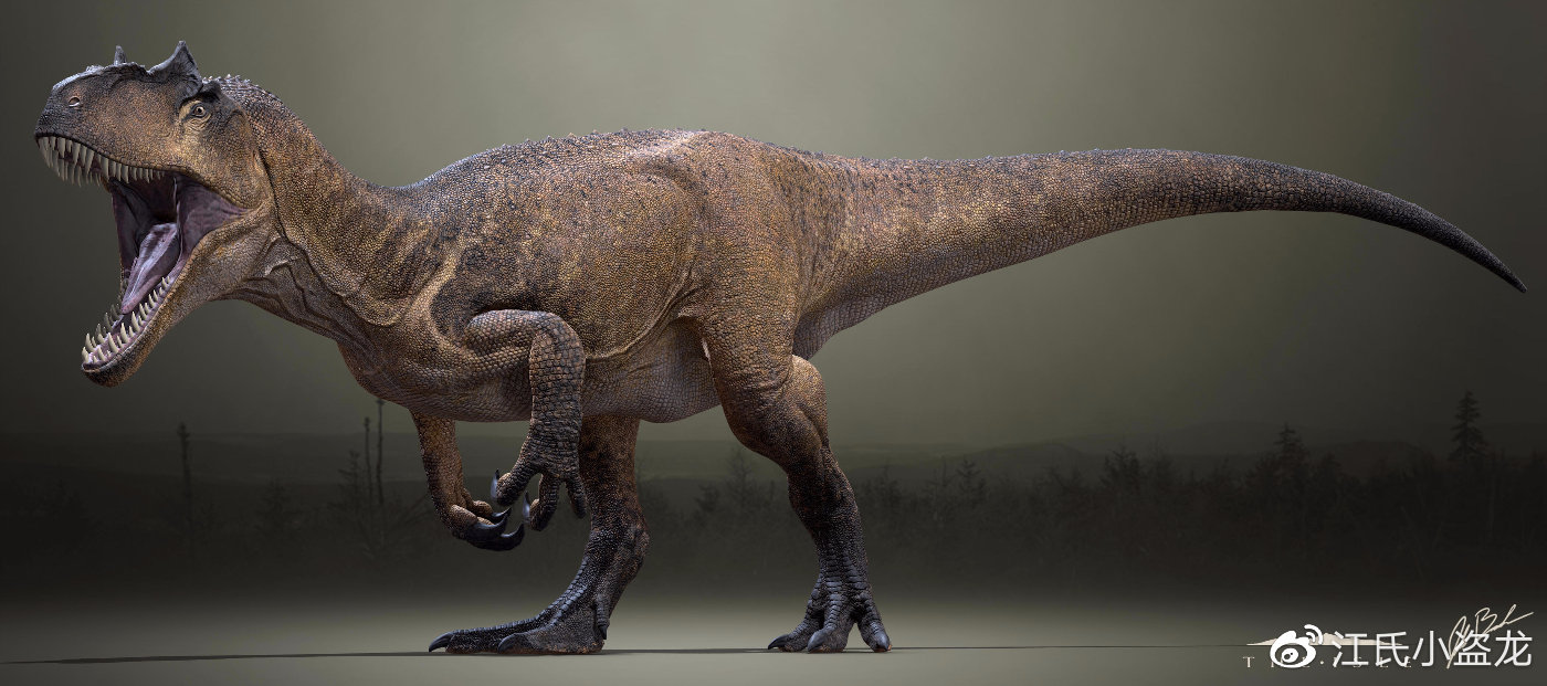 异特龙是最著名的侏罗纪恐龙,古生物学家已经发现了大量的异特龙化石.