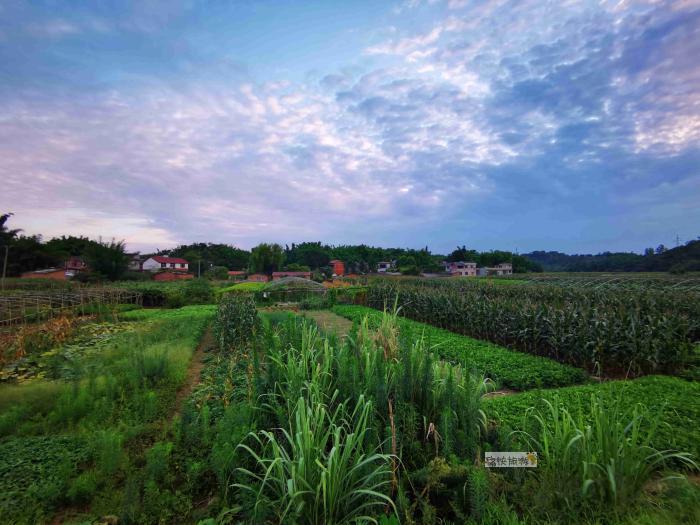 内自边界行——漫步威远河畔舒家坝的黄昏里