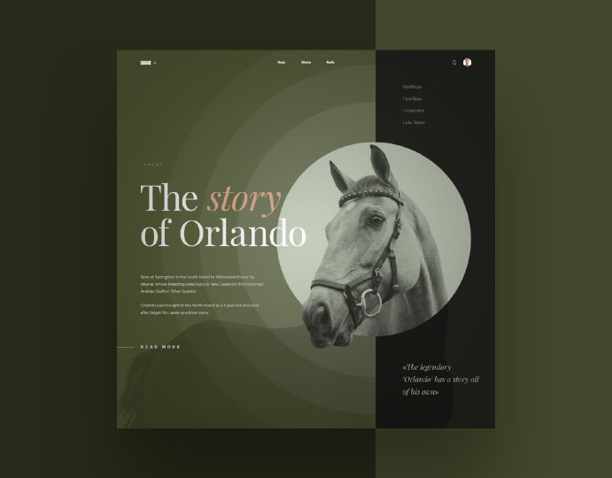 在正方形内,如何根据内容进行字体搭配与文字排版