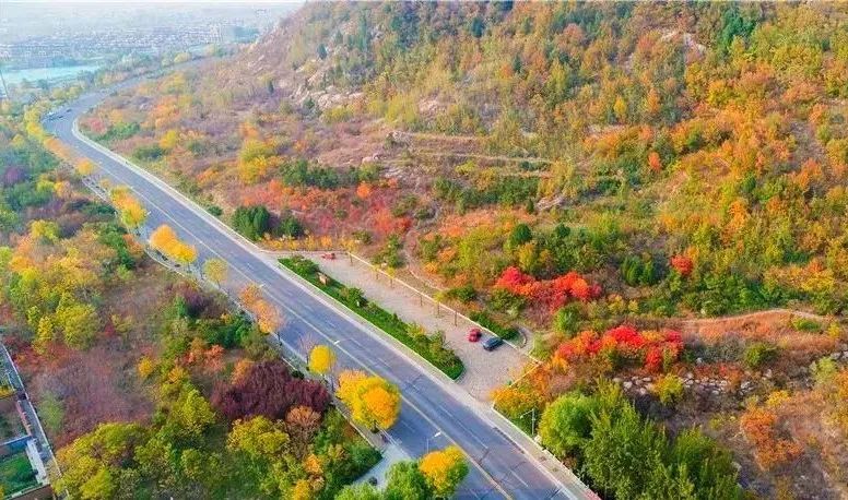 现在去正好!普照寺旁的橡树林,林染红妆美如画!关键是免费!休闲区蓝鸢梦想 - Www.slyday.coM 现在去正好!普照寺旁的橡树林,林染红妆美如画!关键是免费!休闲区蓝鸢梦想 - Www.slyday.coM