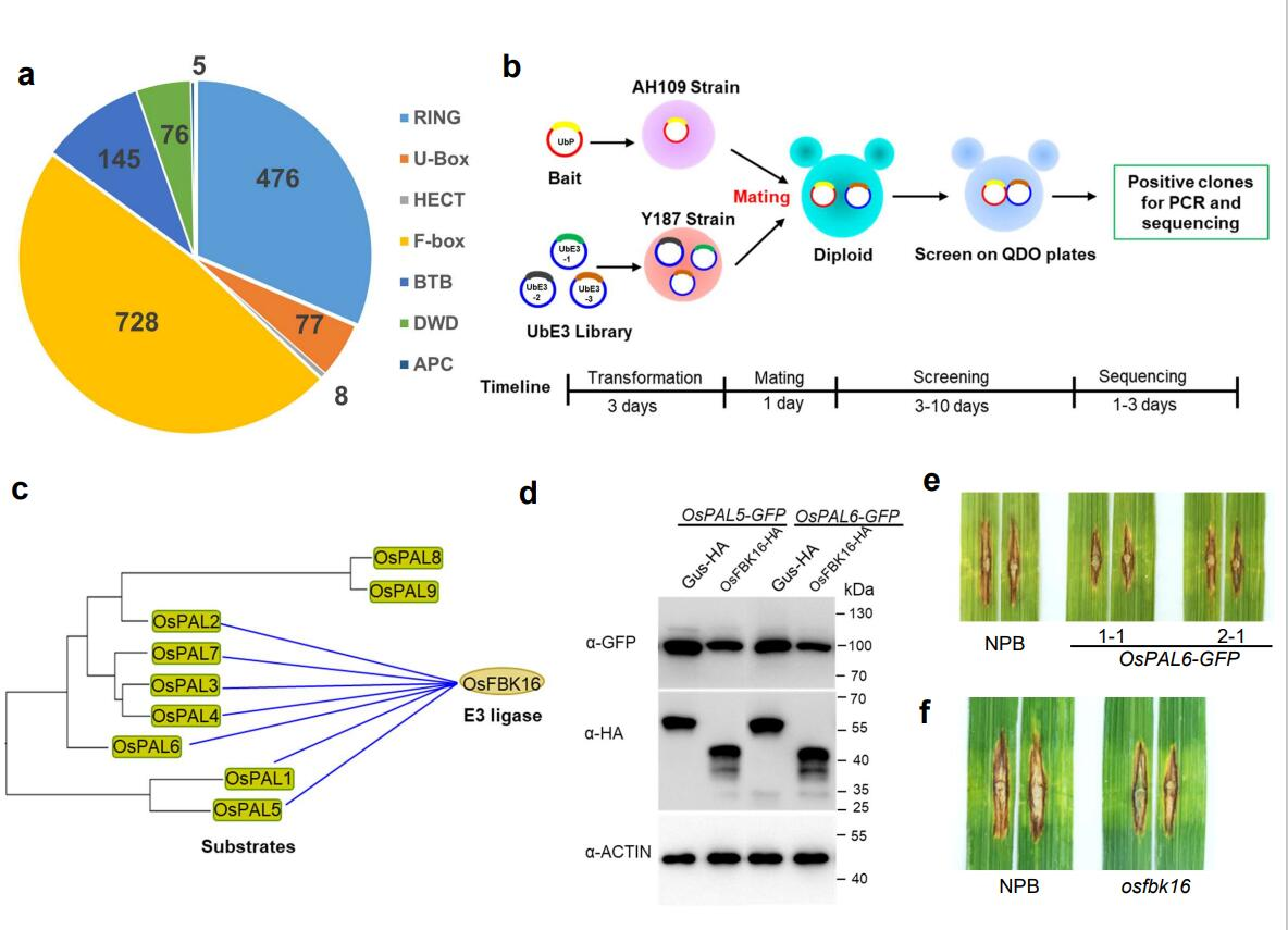 英特尔E3与i7性能对比 如何选择适合的CPU