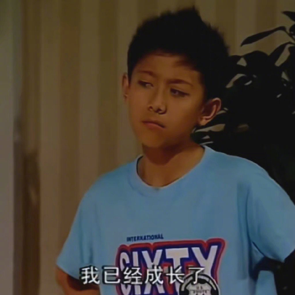 收一波家有儿女刘星表情包