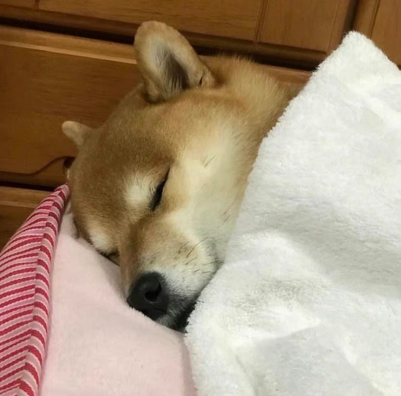 本人累瘫实拍图__财经头条