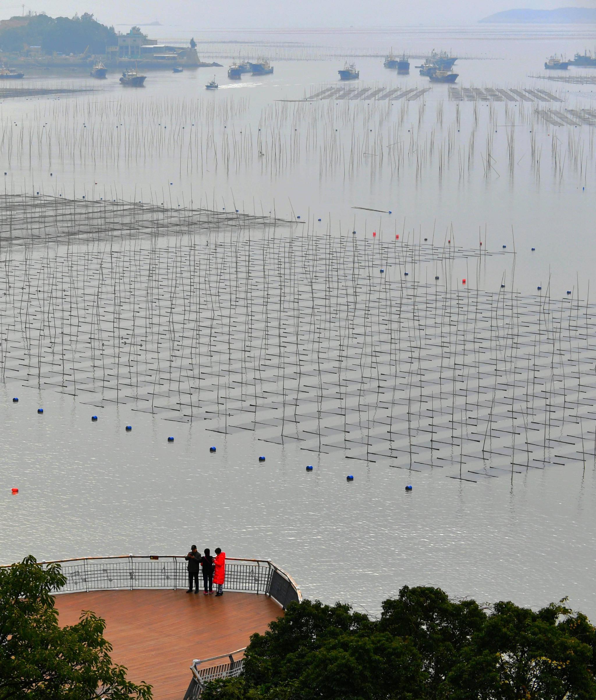 福建霞浦:冬日水墨滩涂|霞浦县|宁德|新华社_新浪新闻