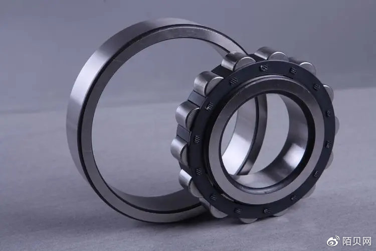 人体为啥没有进化出轴承状关节 关节结构有啥特别之处