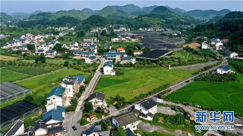 首次选派!安徽合肥45名"老同志"到村任第一书记