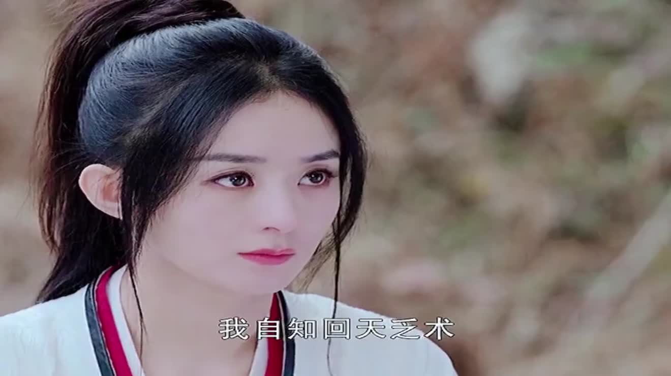 一袭红衣来,一身白衣去,朱雀主木小乔痴心无悔
