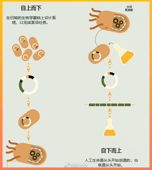 ps人脸合成教程