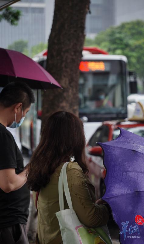【图集】春雨下的羊城街头|羊城|广州|羊城晚报_新浪新闻