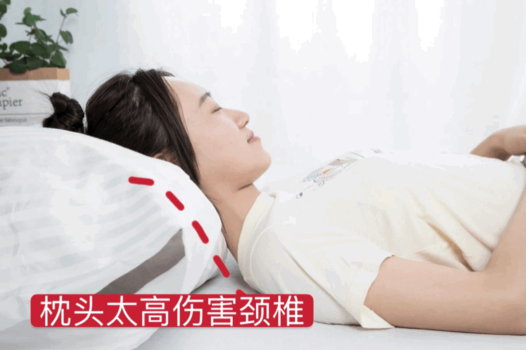 我把五星酒店的枕头搞回家,连着几天差点迟到