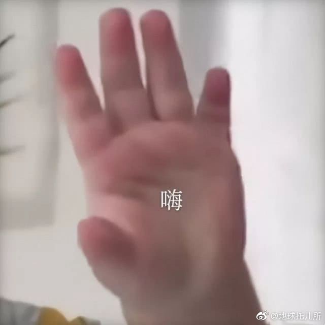 小胖手表情包!这也太可爱了8!