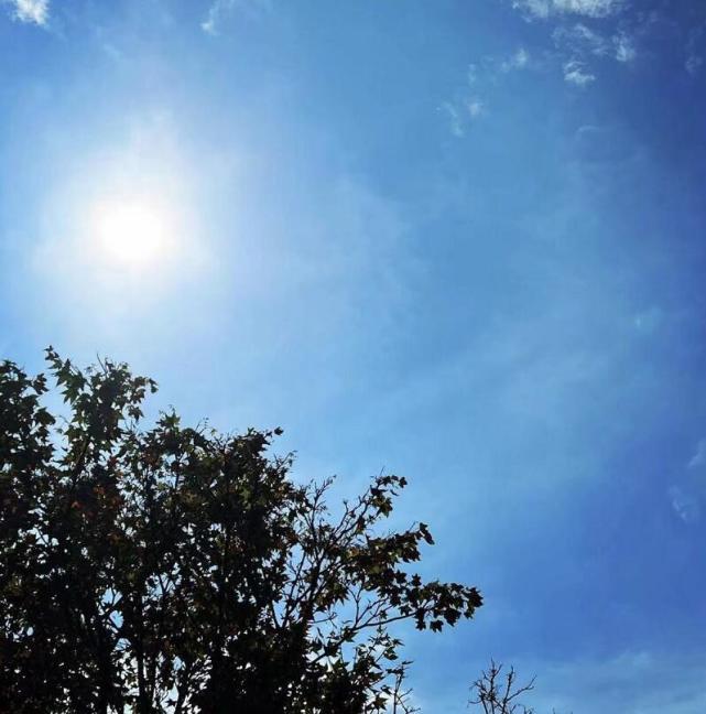 林志颖车祸后,陈若仪首晒两小儿子游泳画面:一切都会越来越好休闲区蓝鸢梦想 - Www.slyday.coM 林志颖车祸后,陈若仪首晒两小儿子游泳画面:一切都会越来越好休闲区蓝鸢梦想 - Www.slyday.coM