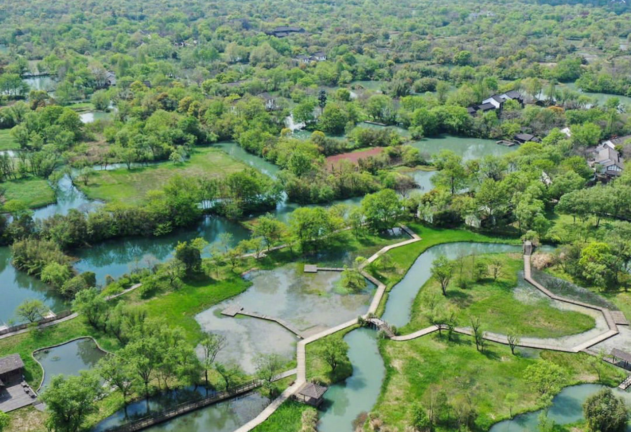 杭州·西溪湿地公园,打过卡吗?_高清图集_新浪网
