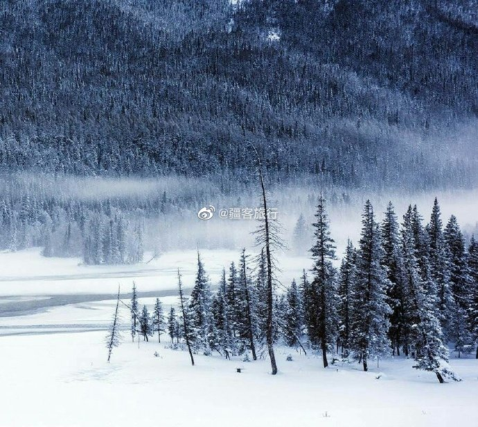 冬季来到阿勒泰是一种什么体验？...