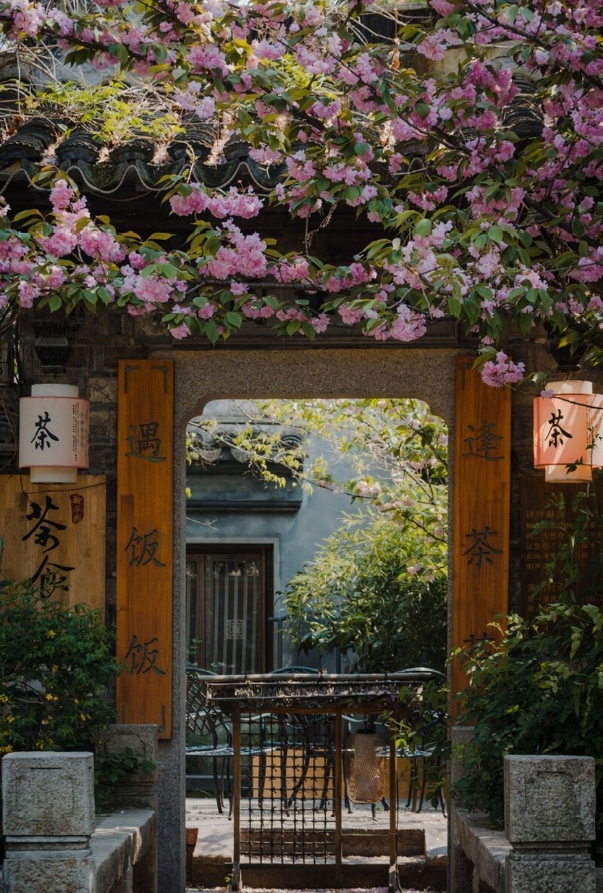 桃花坞里桃花庵桃花庵里桃花仙