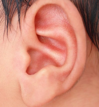 从耳朵形状看你的性格与富贵穷通