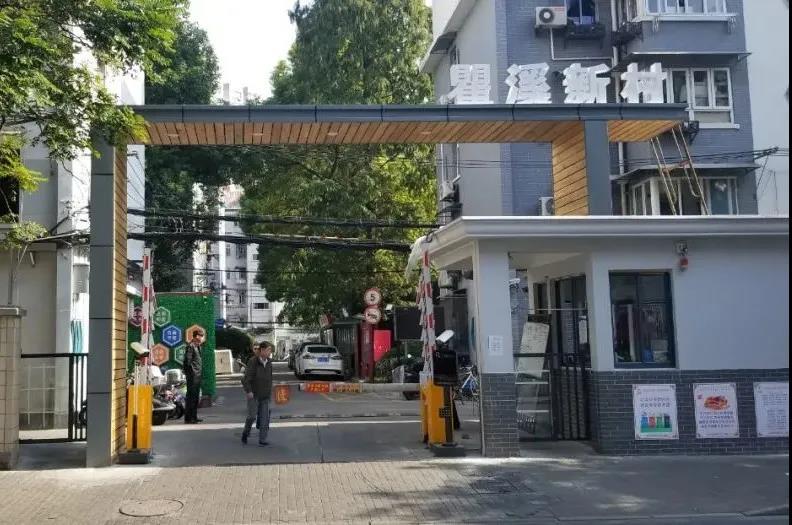 绿色家园大升级半淞园路街道开展绿色庭院自治项目