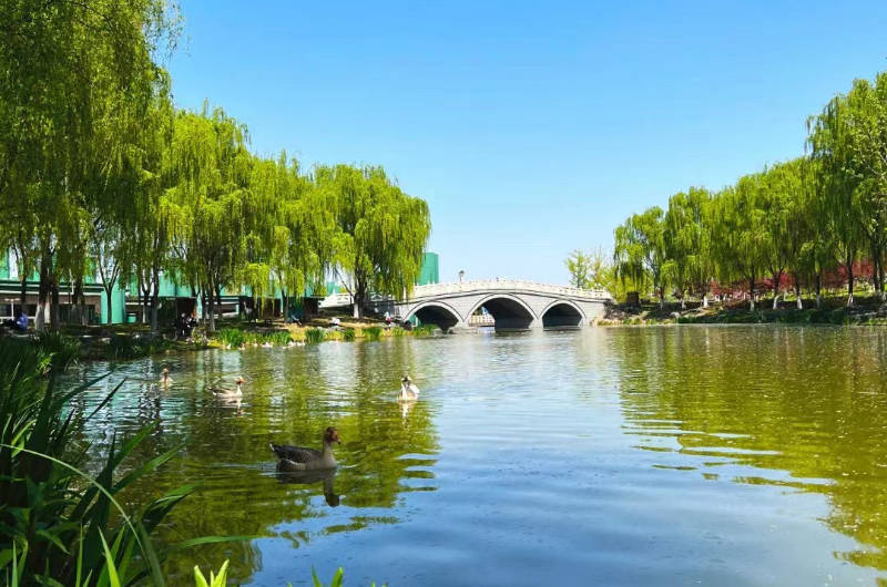 绿水浐灞鲜活生动|浐灞国家湿地公园|西安世博园|踏青_新浪新闻