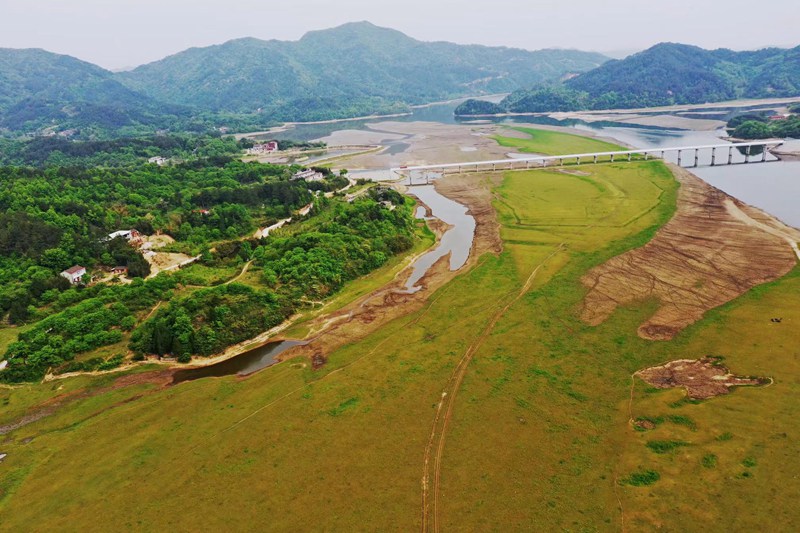 灌河湿地 美如画|商城县|灌河|豫南_新浪新闻