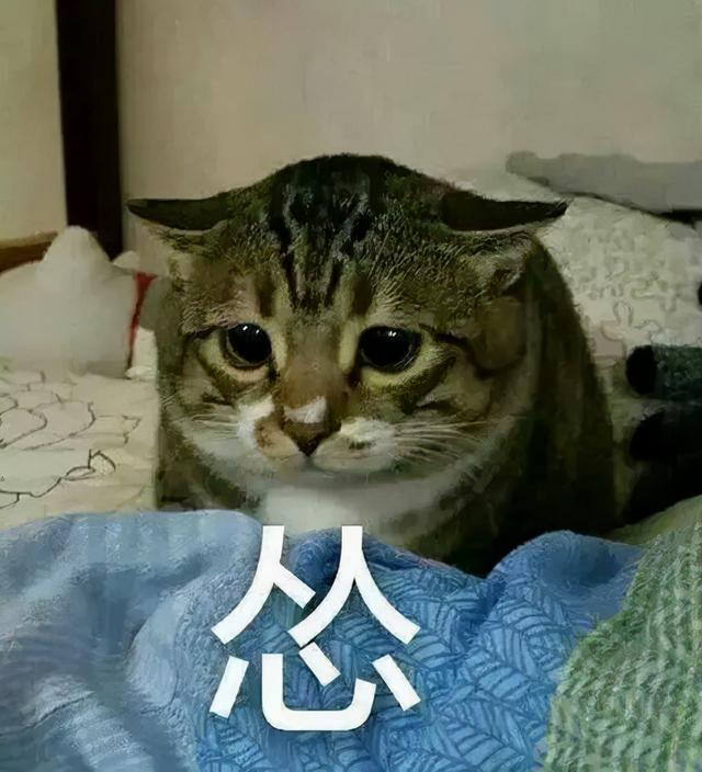 浙江湖州：价值100万的新房被贴了封条，他立刻履行了！休闲区蓝鸢梦想 - Www.slyday.coM