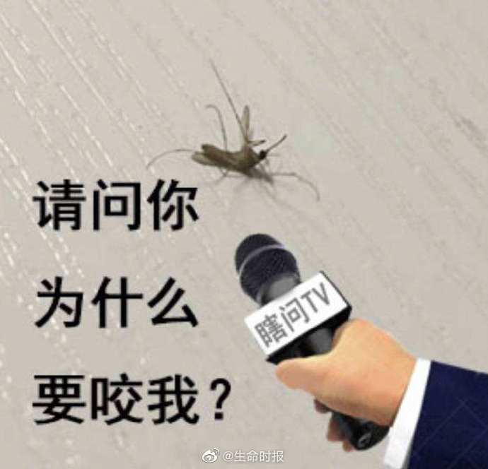为什么被蚊子咬的总是你