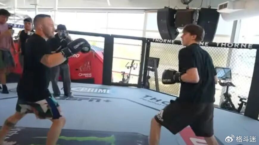 作死網紅踢館UFC訓練中心,被打到狂吐不止! - 新浪香港