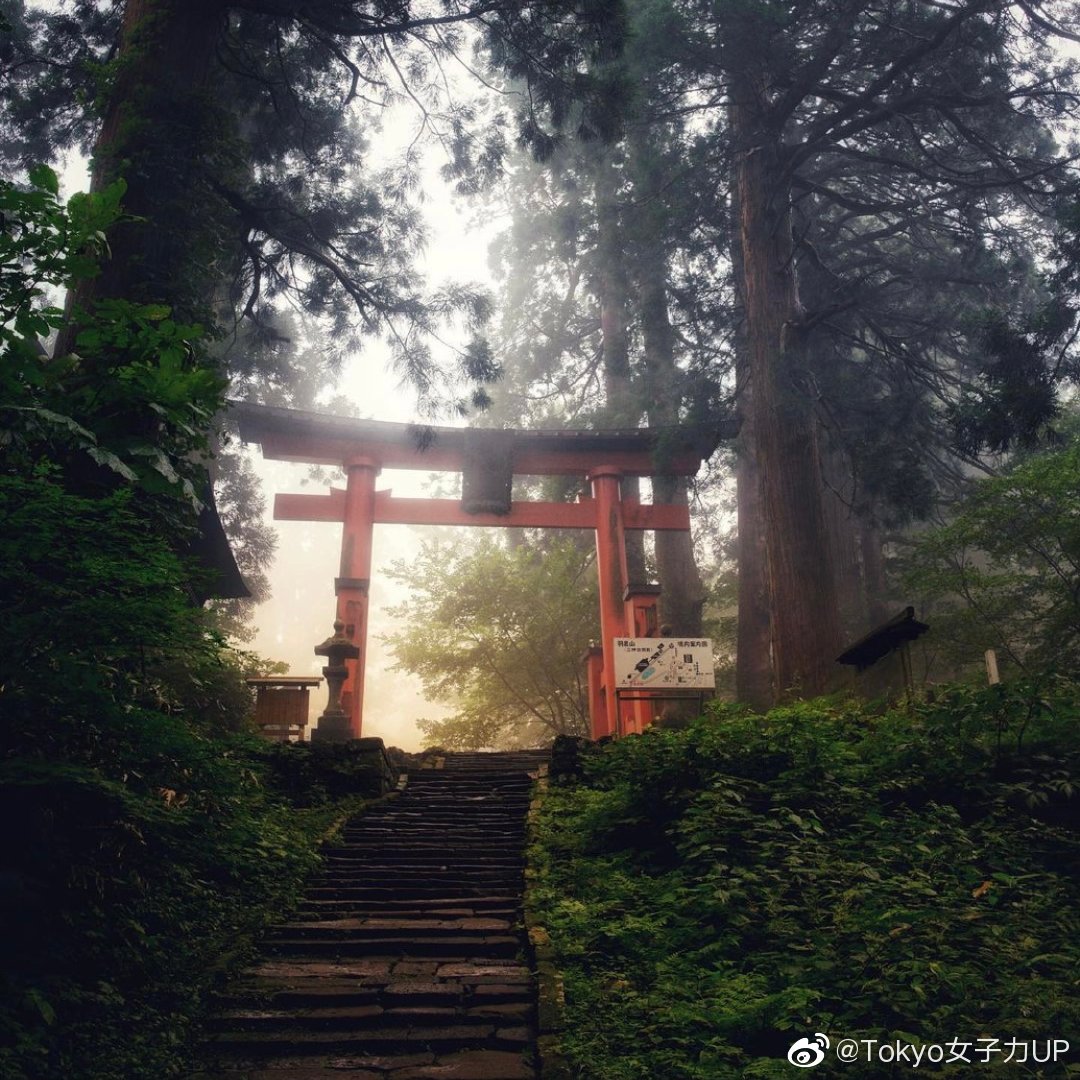 位于日本山形县的出羽三山神社 位于日本山形县的出羽三山神社