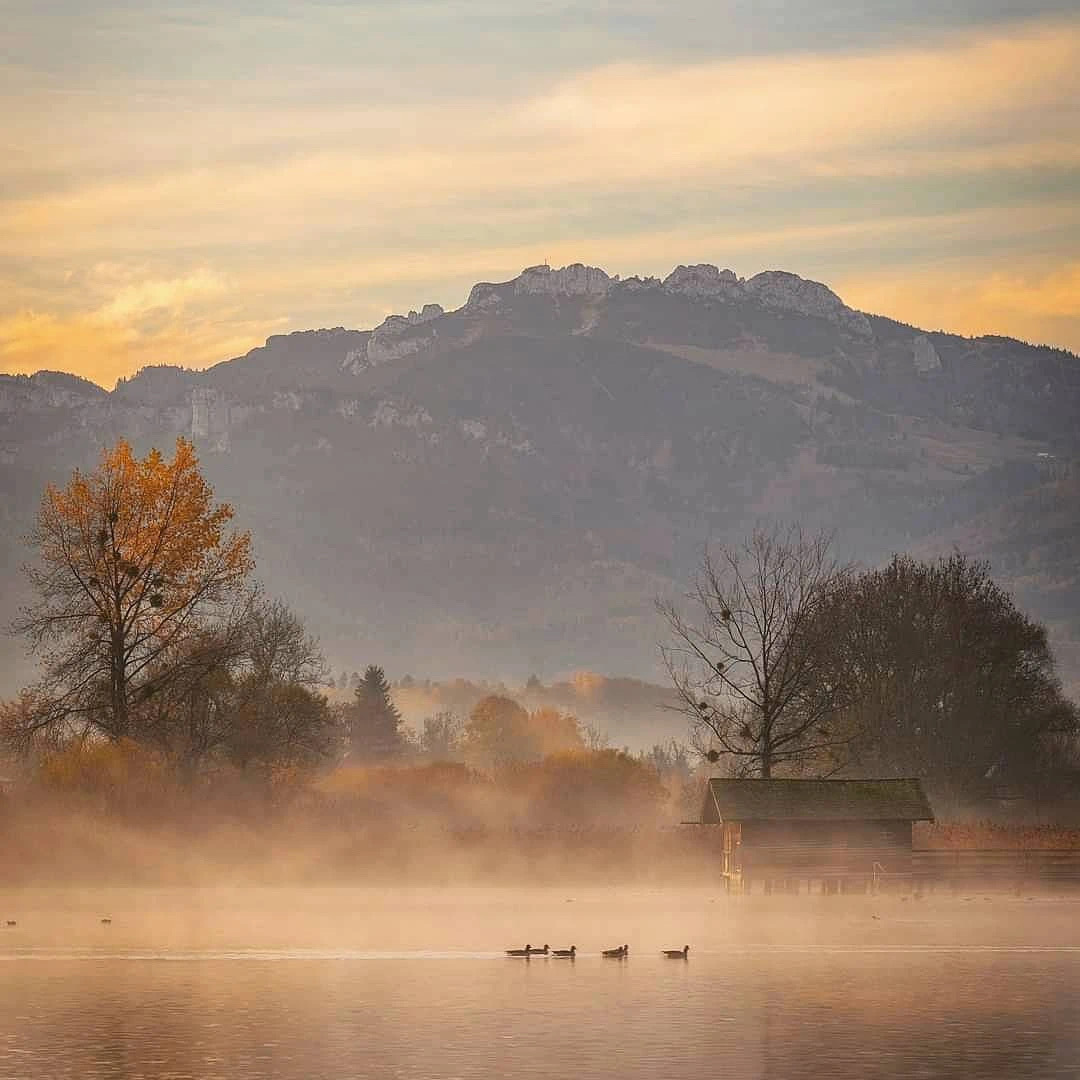 薄雾轻纱,飘飘渺渺,水鸟在游弋,牛马在嚼草!