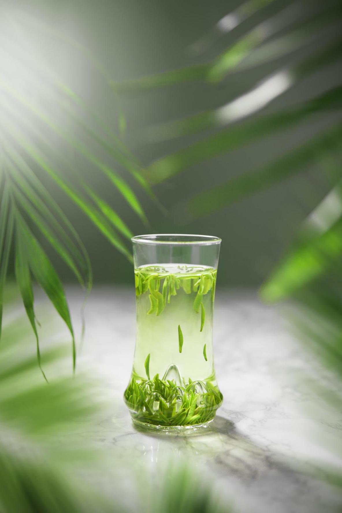 一杯竹叶青茶解暑养生给伏天一份清静