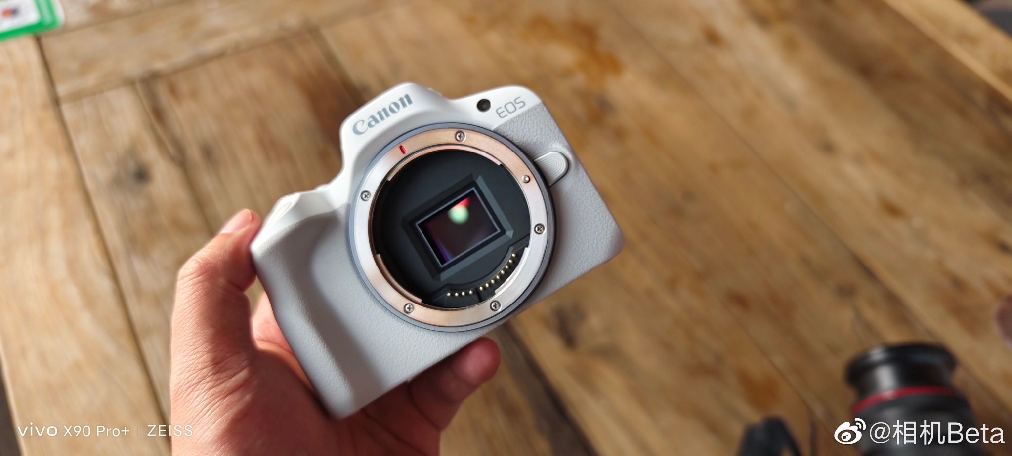 佳能EOS R50白色版上手，这个太适合女生了，手感出色……|佳能(canon)|EOS M|环节_新浪新闻