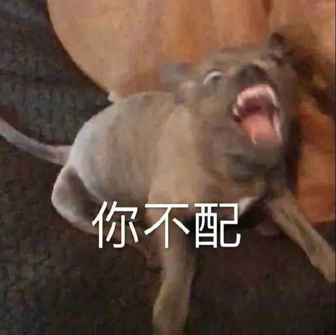 微信沙雕表情包:你不配 拿图请顺便吱一声 很难有动力发图了
